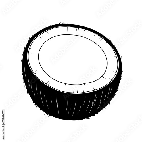 Detailed sketch of a fresh coconut halved showing its interior and textured exterior isolated on white background