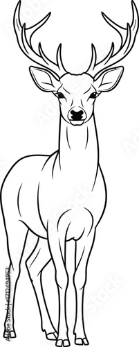 Elegant deer illustration, majestic antlers, forest animal