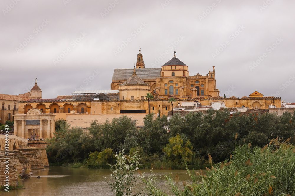 Fototapeta premium View of Córdoba Across Guadalquivir River
