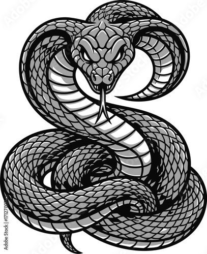 Coiled cobra illustration, venomous snake with hood, danger