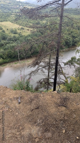 river in the forest