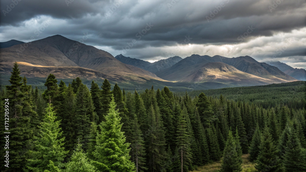 Obraz premium Dramatic mountain landscape under stormy skies over evergreen forest