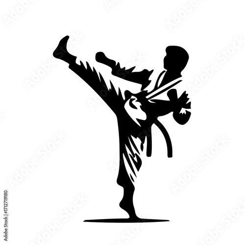 Karate Man Jumping Kick Vector Illustration