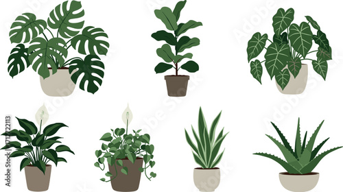 Seven potted houseplants illustration on white background on transparent background
