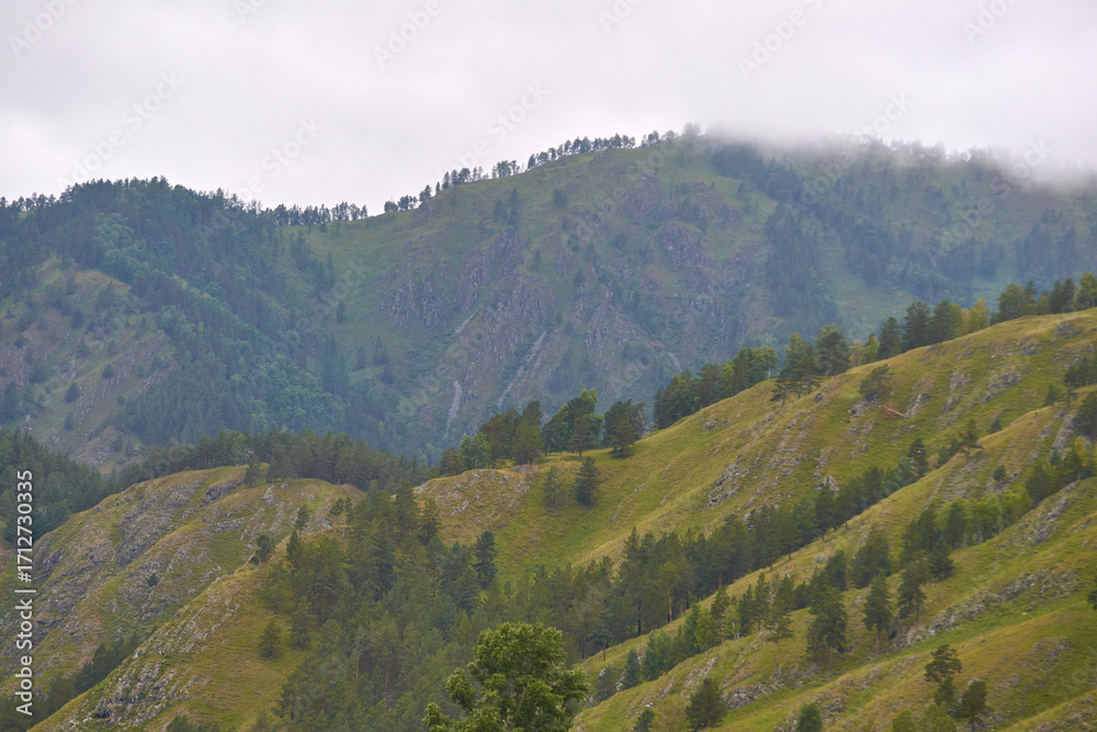 Fototapeta premium Misty forested mountain landscape with lush green hills and cloudy sky.