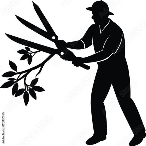 Silhouette of a Gardener Pruning a Branch with Large Shears or Clippers on white background