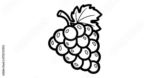 Sweet Grapes Bunch Line Art with Leaf on an Isolated White Background, Fruit Illustration