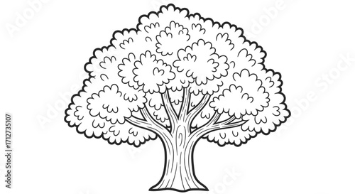 A simple line drawing of a large, full, deciduous tree with a thick trunk and lush canopy.