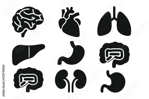 Vector icon collection depicting human organs including brain, heart, lungs, liver, stomach, and kidneys 
