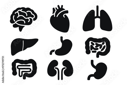Vector icon collection depicting human organs including brain, heart, lungs, liver, stomach, and kidneys 
