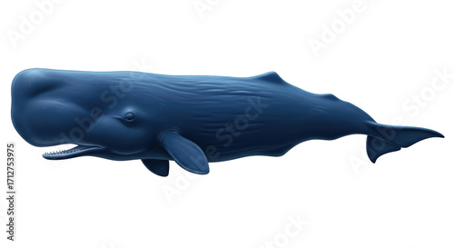 Isolated Sperm Whale, a Gigantic Marine Mammal with Toothed Jaws and Robust Flukes