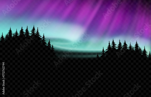 Northern Lights in the sky, silhouette of a polar forest against the backdrop of the Northern Lights on a transparent background. Aurora Borealis. Vector illustration.