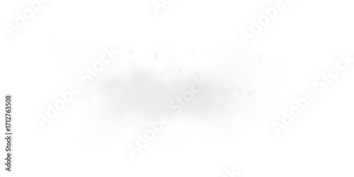 Canvastavla Ethereal Grey Mist and Fog with Soft Smoke Swirls and Dust Explosion, Transparen