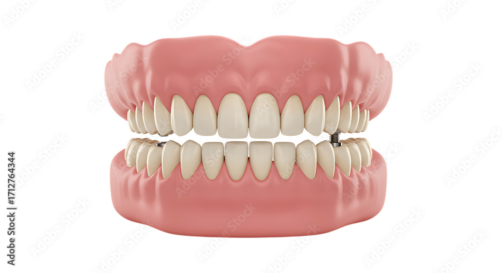 Obraz premium Realistic dental model showing a full set of upper and lower human teeth isolated on white background