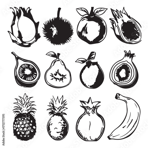 Exotic fruits and common fruits illustration dragon fruit