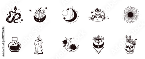boho mystical spiritual tattoo symbols in tarot card design style vector
