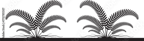 Fern Silhouette Collection Lush Greenery on Transparent Background for Creative Projects