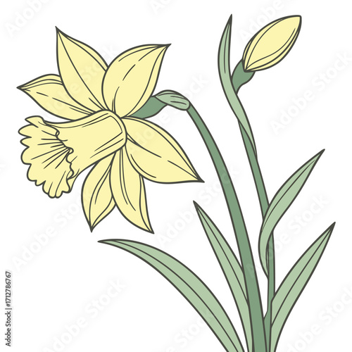 A daffodil icon with a bright trumpet-shaped center and six petals.