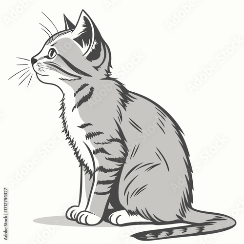 A cute grey tabby kitten sitting patiently and looking to the left with a curious expression