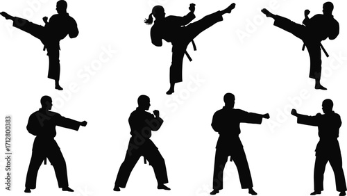 A collection of karate silhouettes in various fighting poses, including men and women. Vector illustration set for martial arts, combat sports, and self-defense concepts.
