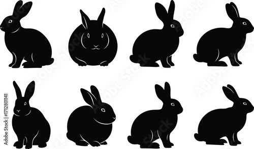Silhouette illustration set, people activities collection with skateboarding, cycling, weightlifting, horseback riding, motorcycle, dancing, jumping, guitar playing, thinking pose