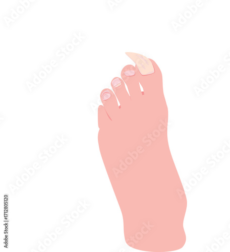 foot of a woman