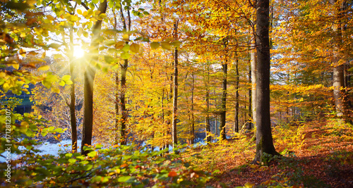 Autumn landscape of sun with autumn trees and lake in soft light.