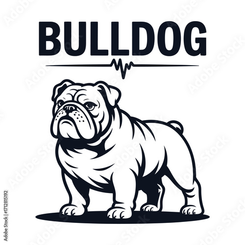 Minimalist line art English Bulldog standing silhouette with bold text and EKG line isolated vector illustration