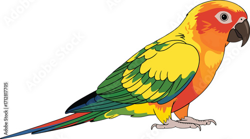 Detailed illustration of a colorful Sun Conure parrot with bright plumage Keywords: parrot, conure, sun conure, bird, avian, tropical, exotic, pet