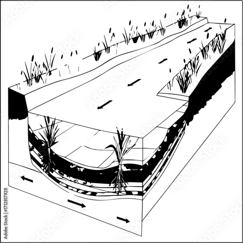 A black and white diagram illustrating a river channel crosssection with sediment layers and vegetation.