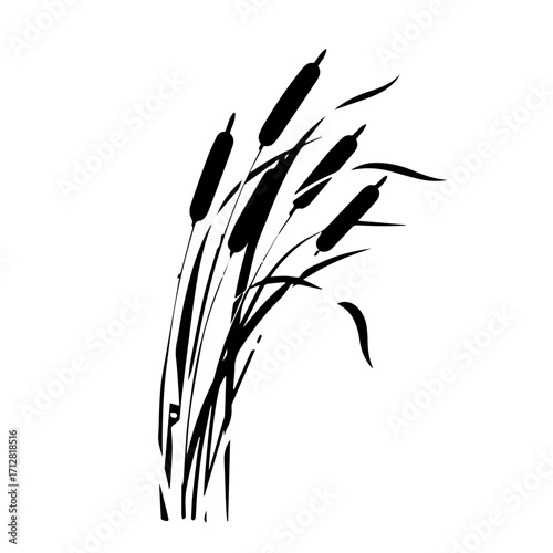 A graceful black silhouette illustration of swaying cattail reeds and rushes.
