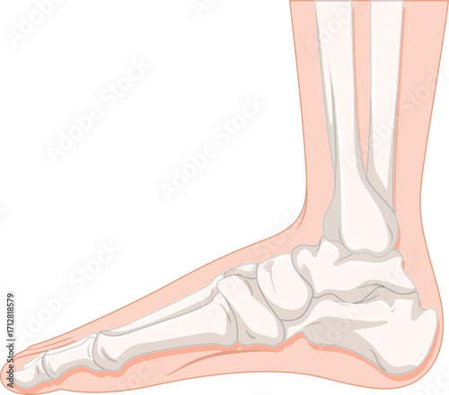 female legs in high heels