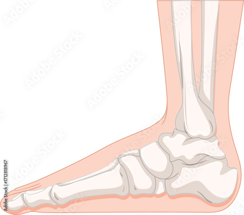 female legs in high heels