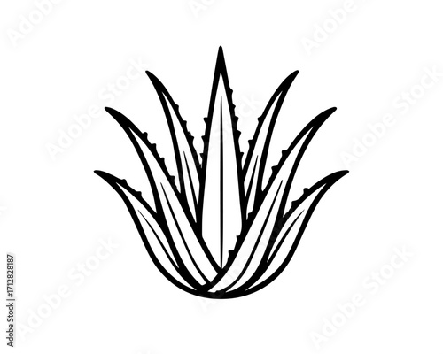 Minimalist Leaf Stem – Symmetrical Botanical Silhouette