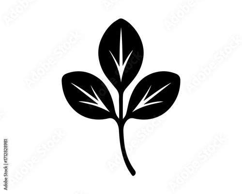 Minimalist Leaf Trio – Geometric Botanical Silhouette