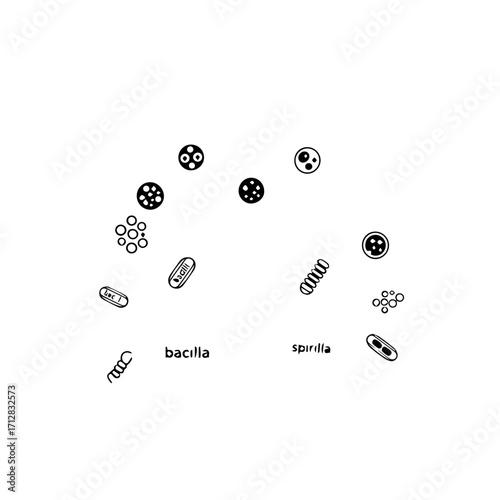 Detailed Black and White Illustration of Various Bacteria Shapes and Forms.