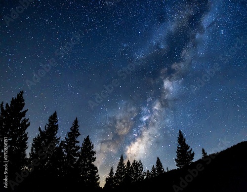 Milky Way over dark pines