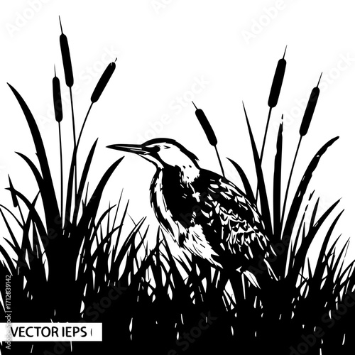 Monochrome vector illustration of a wild bird with a spotted back standing among tall grass and cattail reeds.