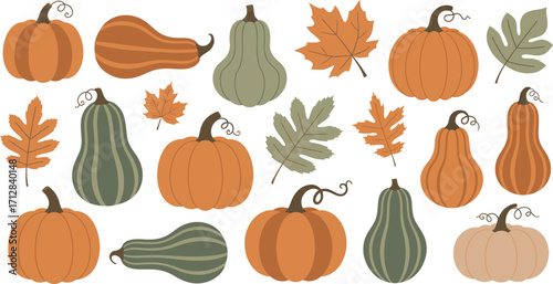 Collection of autumn pumpkins gourds and fall leaves isolated on white background