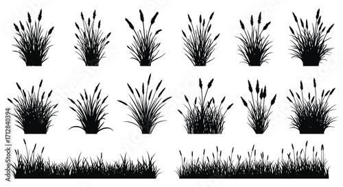 Black and white silhouettes of various types of tall grasses and reeds