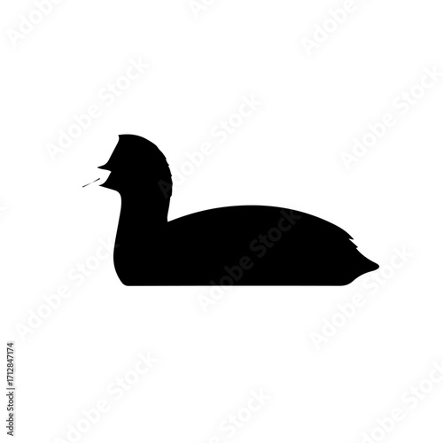 Silhouette of a Black Duck Floating Showing Detailed Body Outline and Beak.