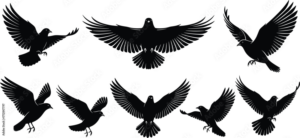 Obraz premium Flying pigeons and doves in different poses, vector illustration
