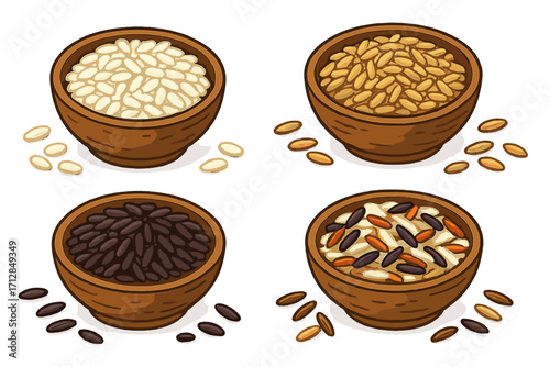 Rice varieties set. White, brown, black, and wild rice in wooden bowls. Agricultural food diversity, cereal grains, and healthy carbohydrate ingredients. Vector cartoon illustration.