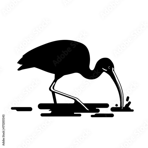 Silhouette of a White Ibis Bird with Long Curved Beak Dipping into Water.
