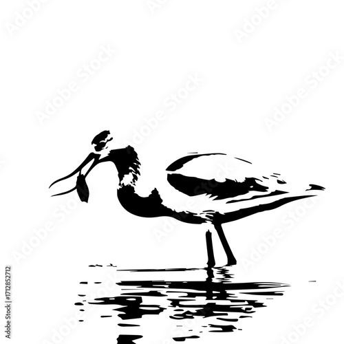 Stylized black and white graphic of a wading spoonbill bird with its catch reflected in water.