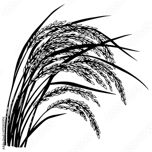 Stylized black and white illustration of ripe curving rice stalks with heavy panicles.