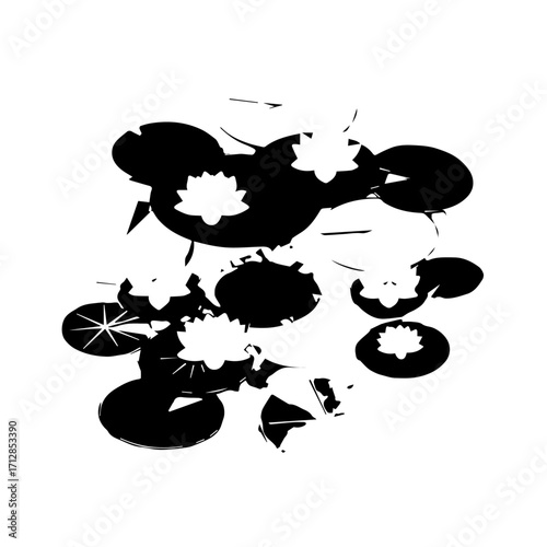 Stylized Black and White Water Lilies with Delicate Petal Details.