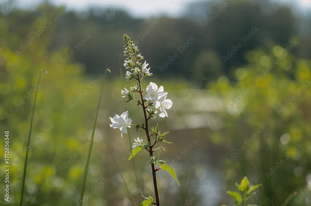 Obraz premium Close-up of a fresh wild plant in the early days of spring