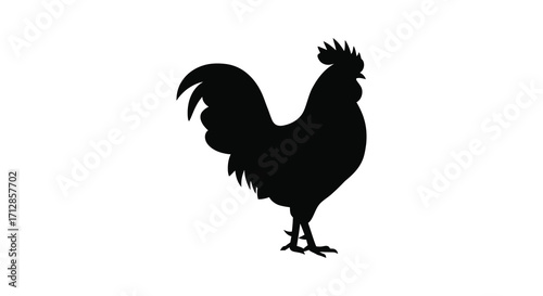 A striking black rooster profile against a white background silhouette