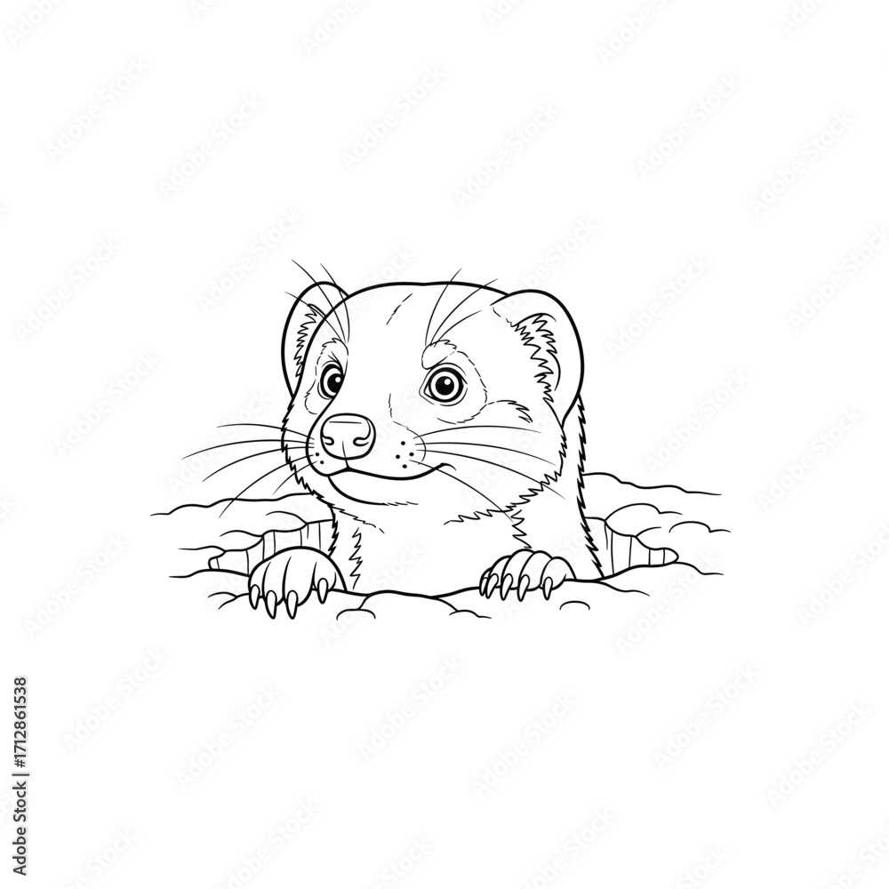 Fototapeta premium Cute Line Art Stoat Peeking Out From Burrow: Vector Illustration of Mustela erminea for Coloring Books and Wildlife Education Materials, Black and White